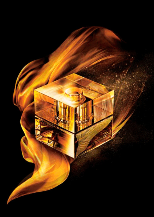 عطر زن شیسدو گلد